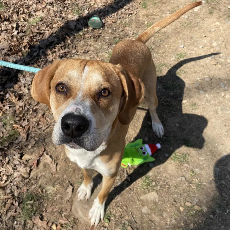 Marky Mark  "gimbals" thumbnail 5