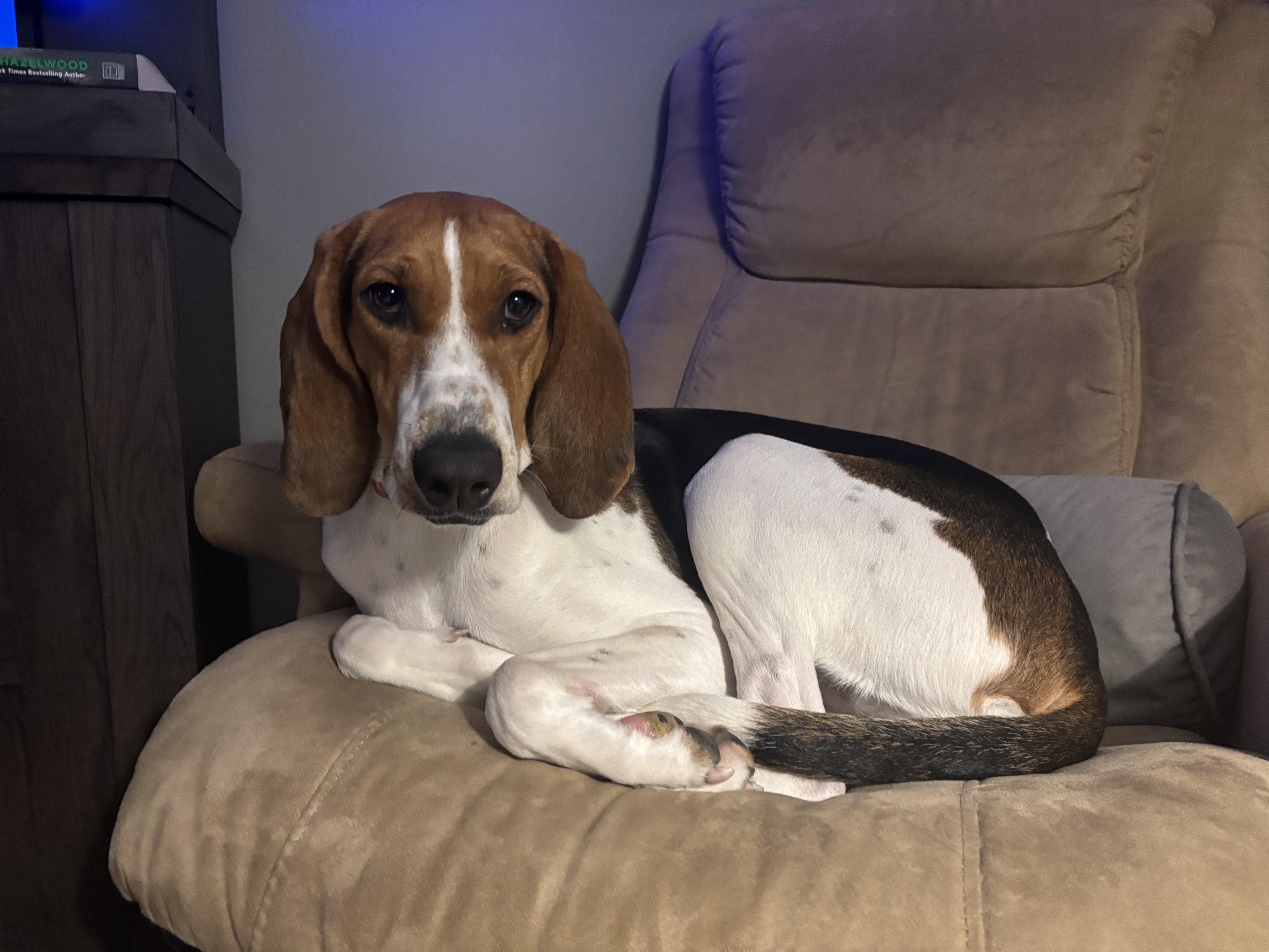 June Bug thumbnail 3