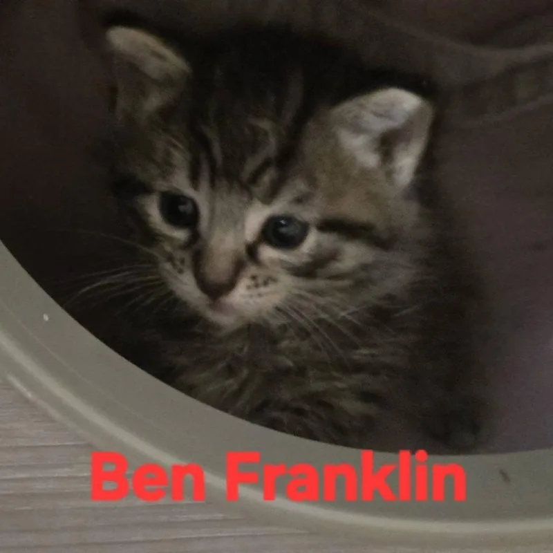 Ben Franklin