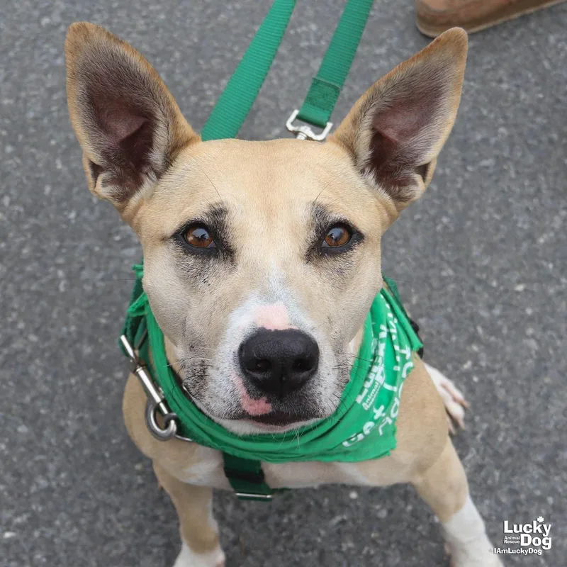 Penelope thumbnail 3