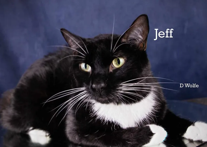 Jeff thumbnail 2