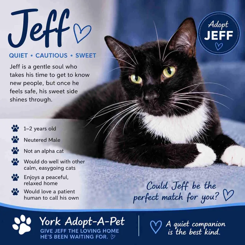 Jeff thumbnail 3