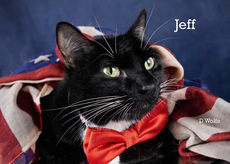 Jeff thumbnail 4