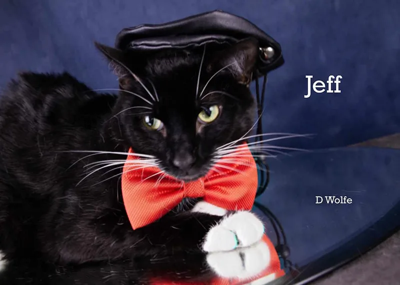 Jeff thumbnail 5