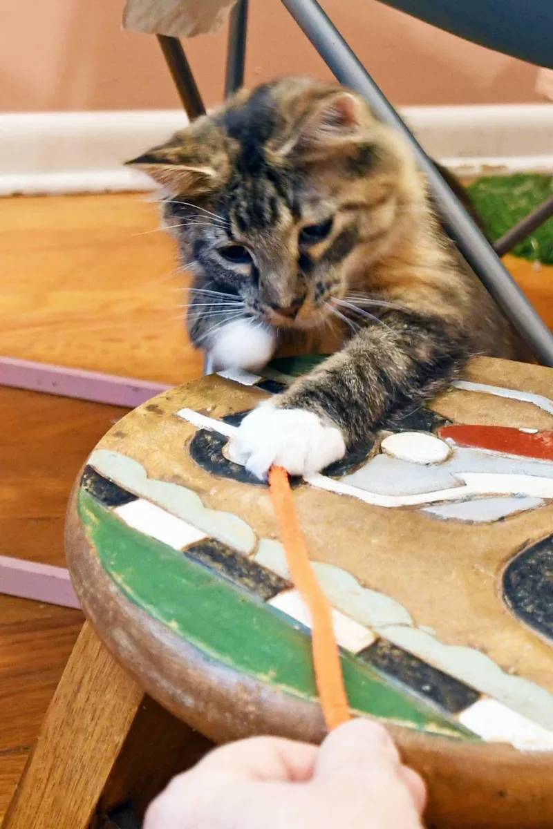 Moppet thumbnail 2
