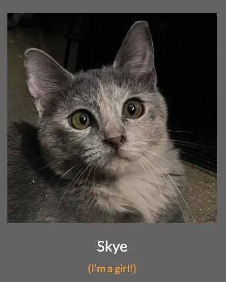 Skye