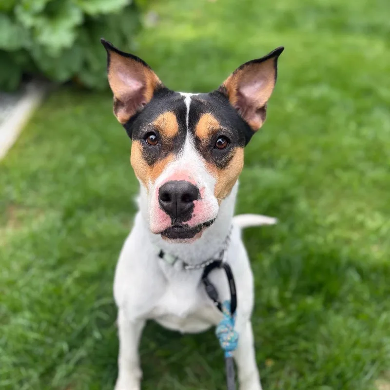 Oona