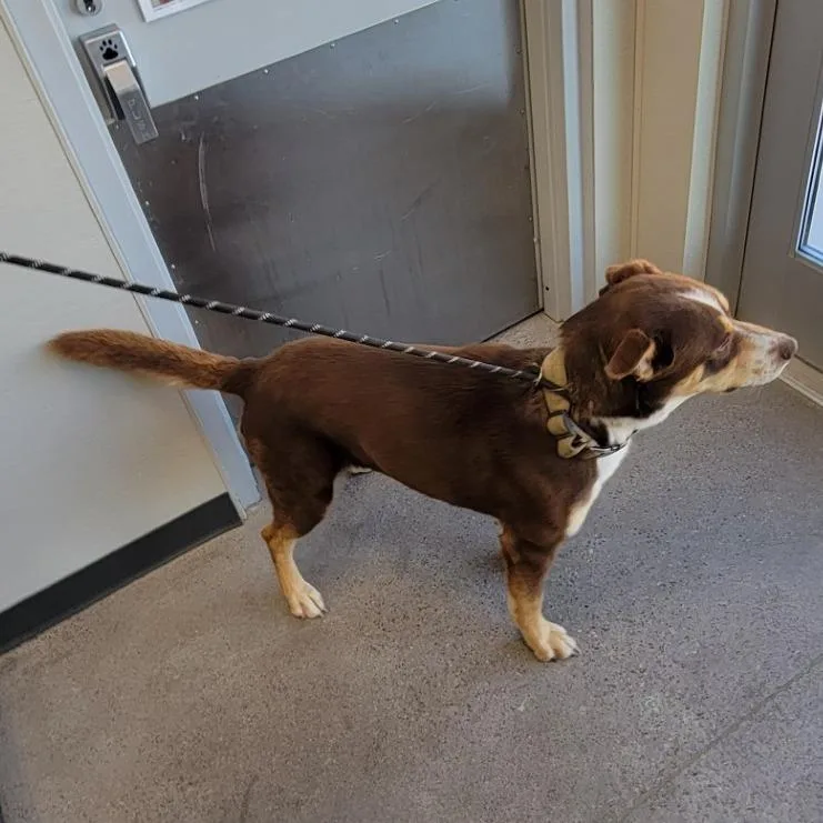Digby thumbnail 5