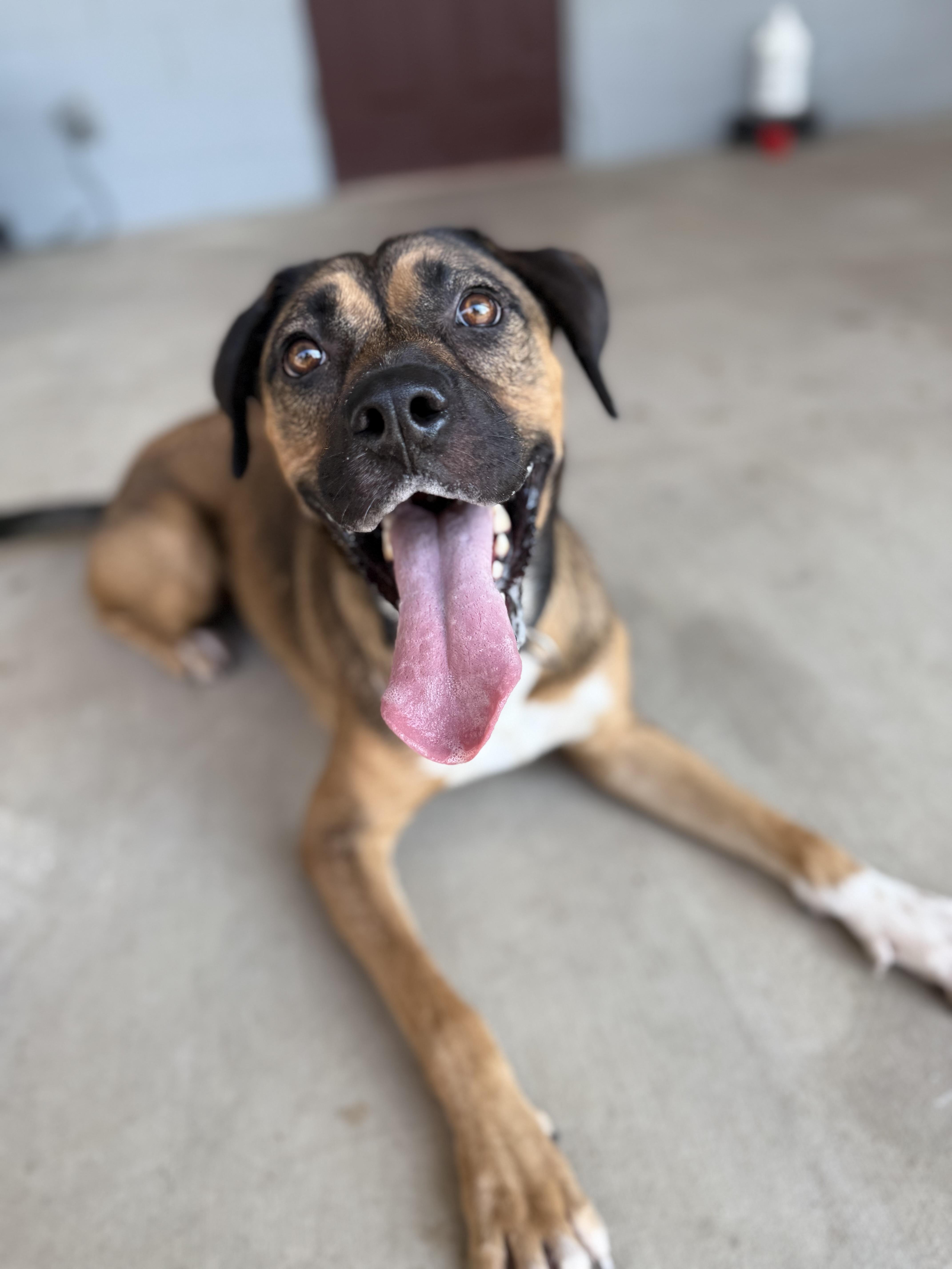 Cinnamon thumbnail 2