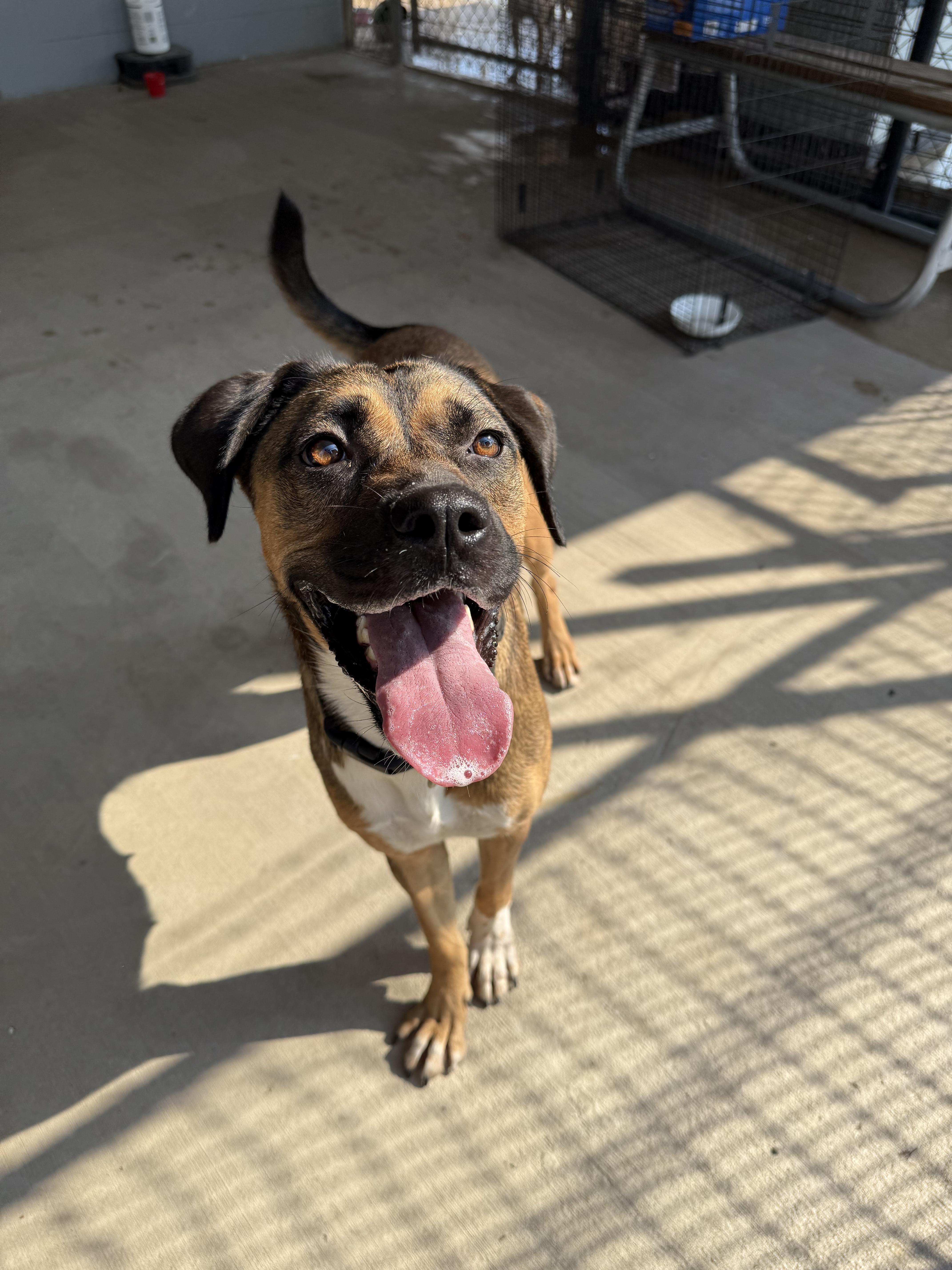 Cinnamon thumbnail 3