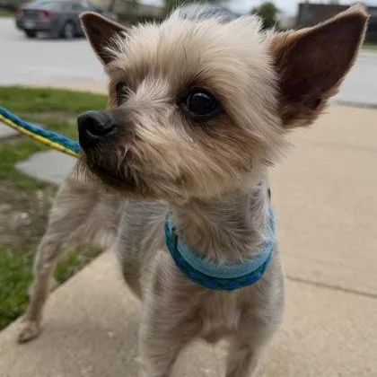 Max