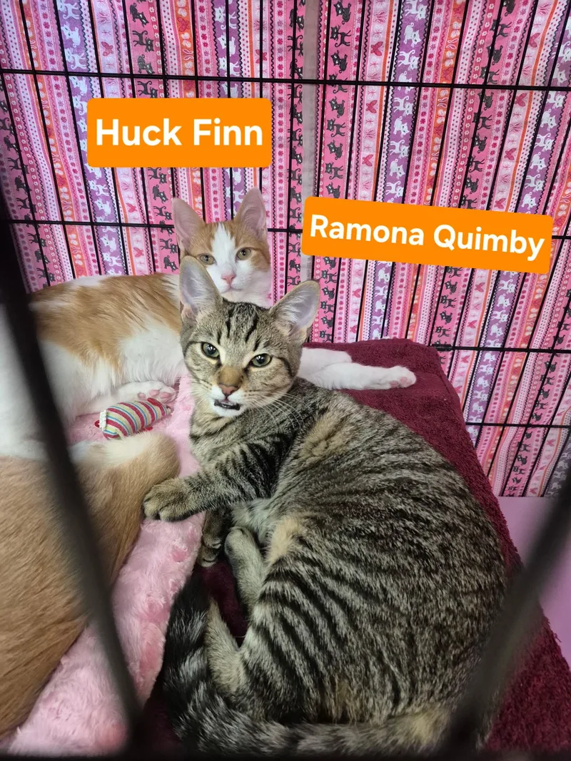 Huck Finn thumbnail 2