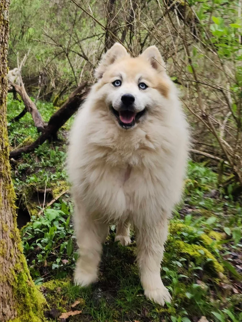 Bear Kendall thumbnail 3