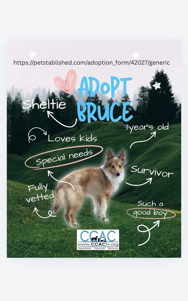 Bruce The Broken Toy thumbnail 3