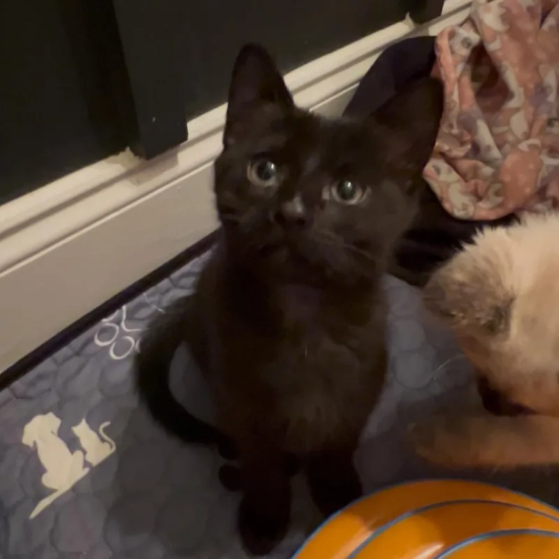 Typing... thumbnail 2