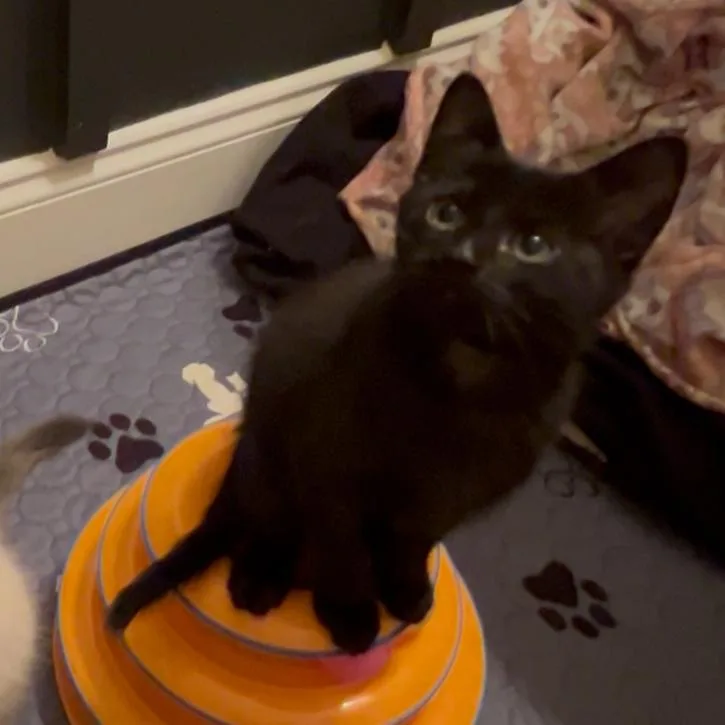 Typing... thumbnail 3