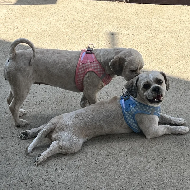 Mr. Handsome Jackson & thumbnail 3