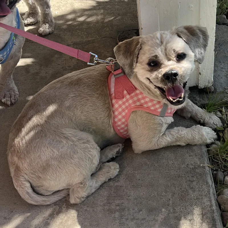 Mr. Handsome Jackson & thumbnail 5