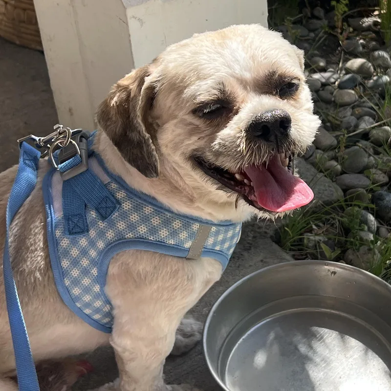 Mr. Handsome Jackson & thumbnail 6