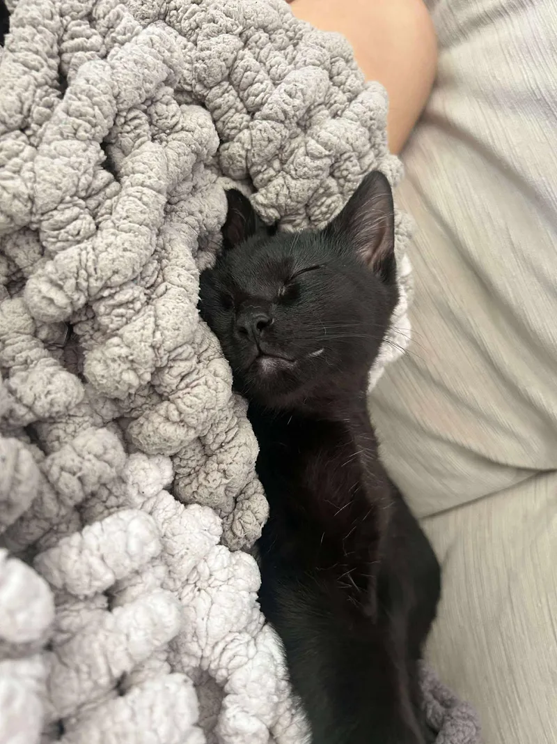 Sweet Dee thumbnail 2