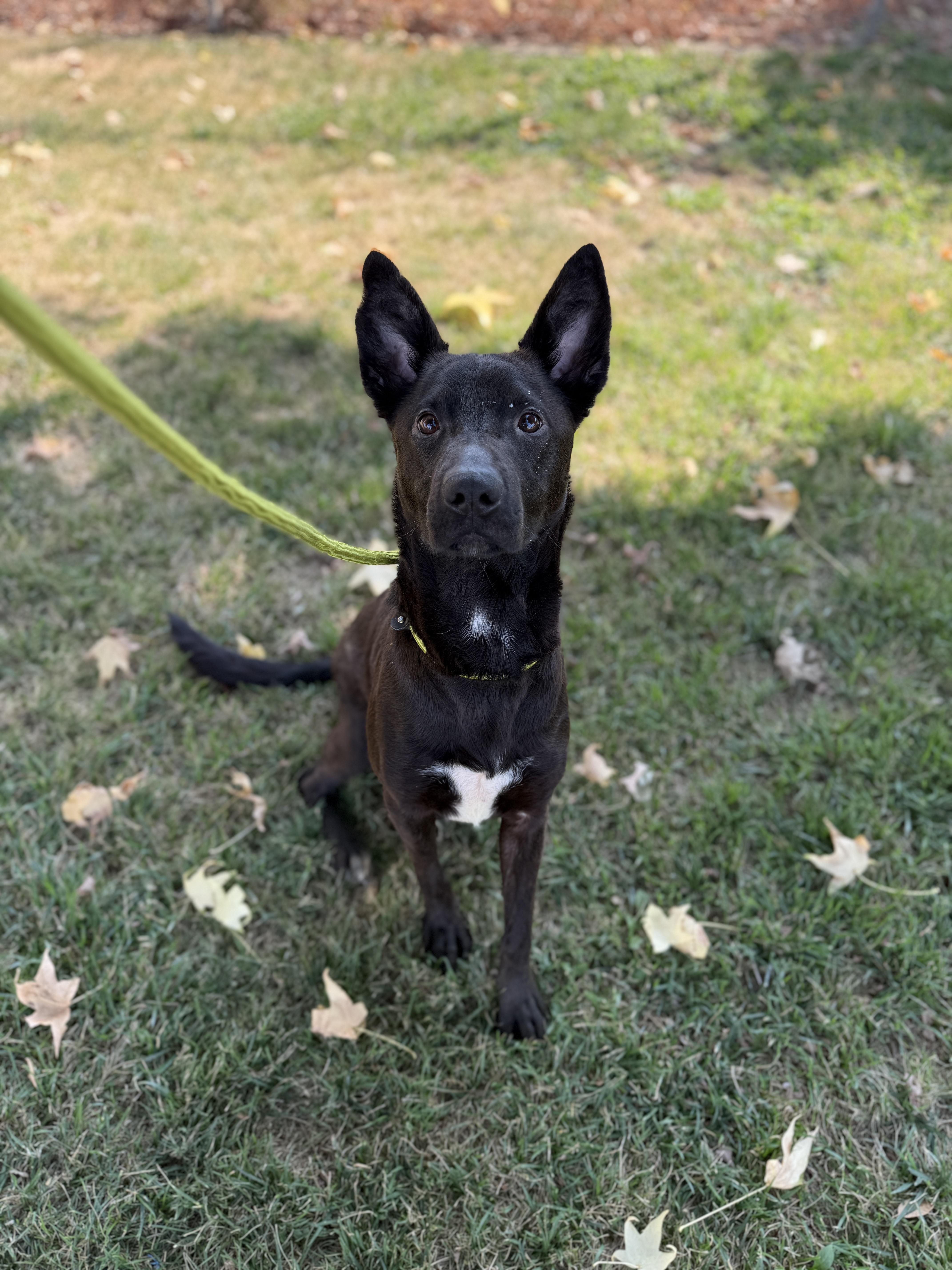 Lena