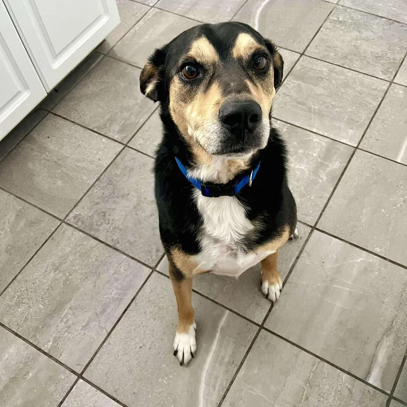 Buster Boo thumbnail 4