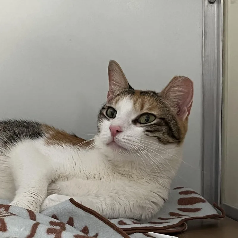 Marie Purrie thumbnail 3