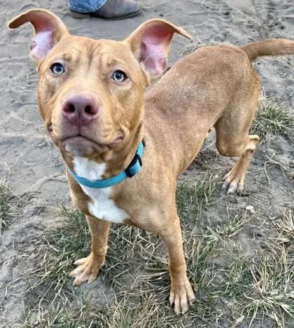 Mr. Worldwide thumbnail 2