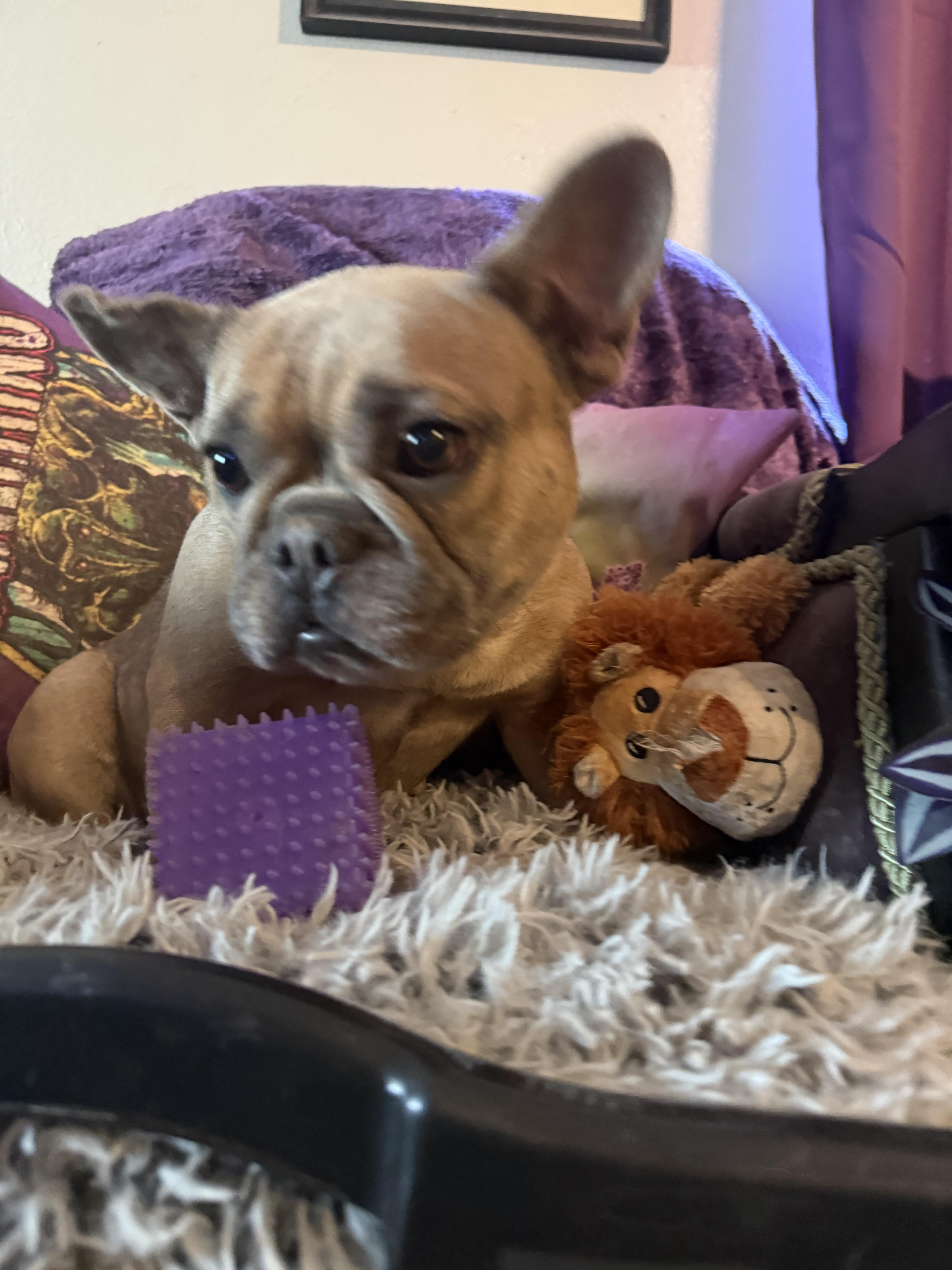 Heidi thumbnail 5