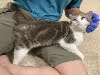 Ian Mckellan thumbnail 3