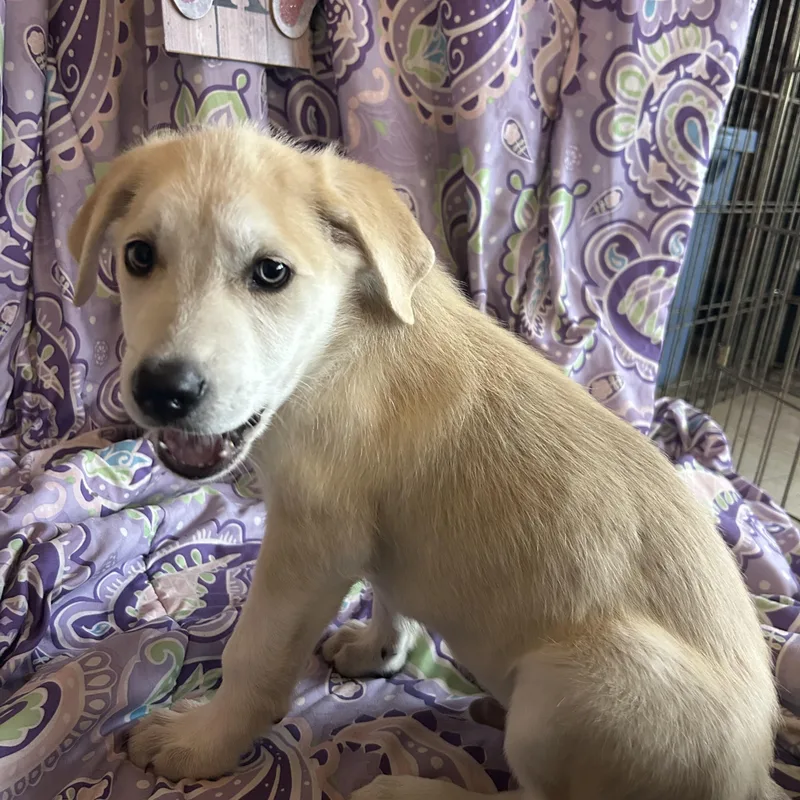 Madeline thumbnail 2