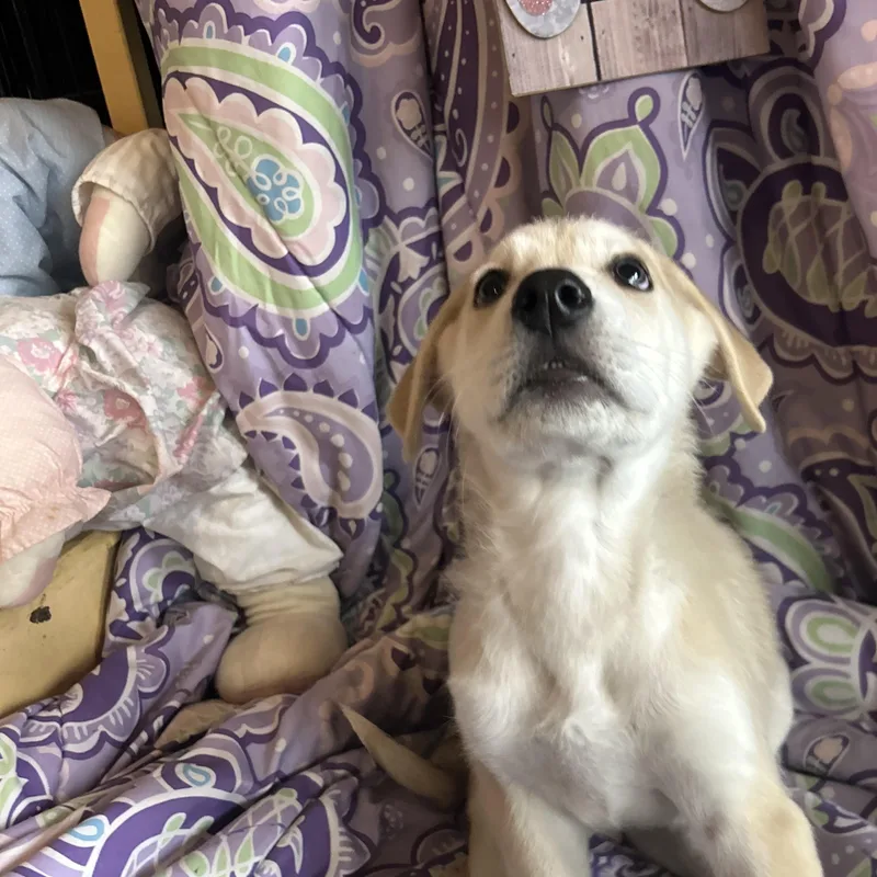 Madeline thumbnail 3