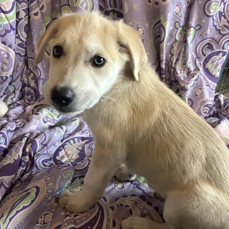 Madeline thumbnail 4