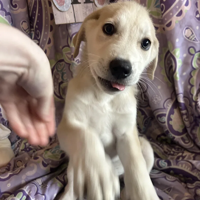 Madeline thumbnail 5