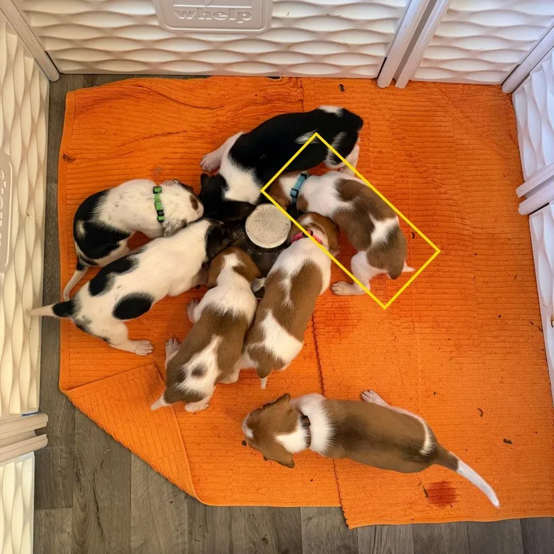 Mr. Colin Bridgerton thumbnail 2