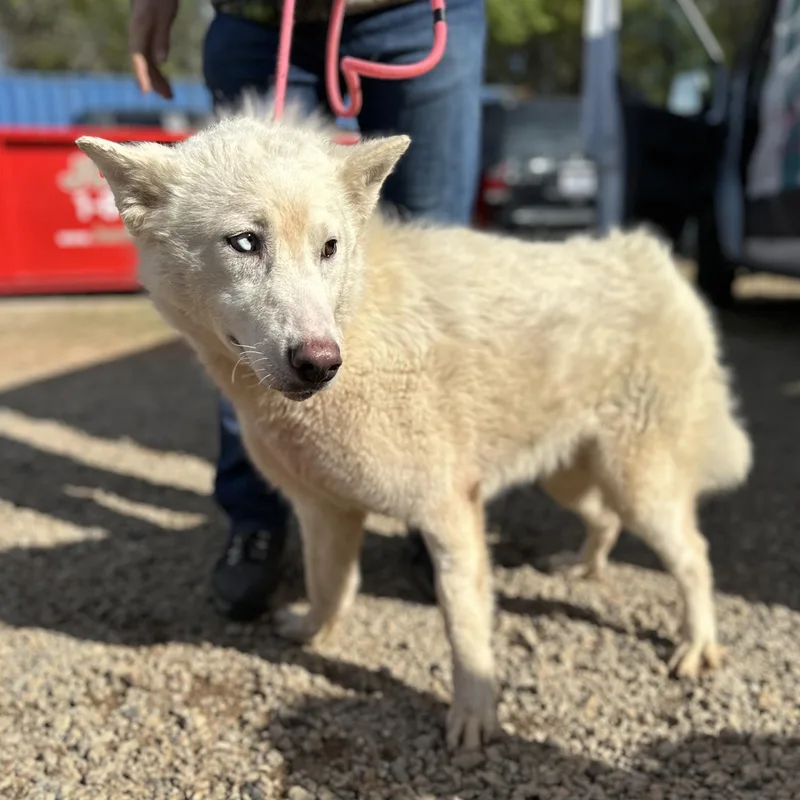 Mineral Water thumbnail 3