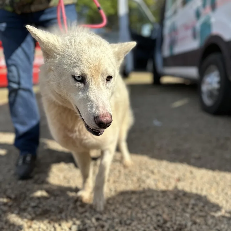 Mineral Water thumbnail 4