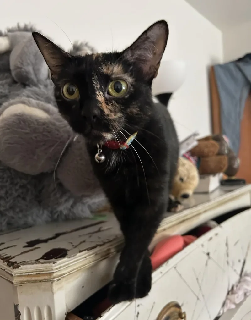 Minnie thumbnail 2