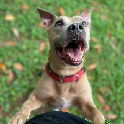 Lil Mama thumbnail 2