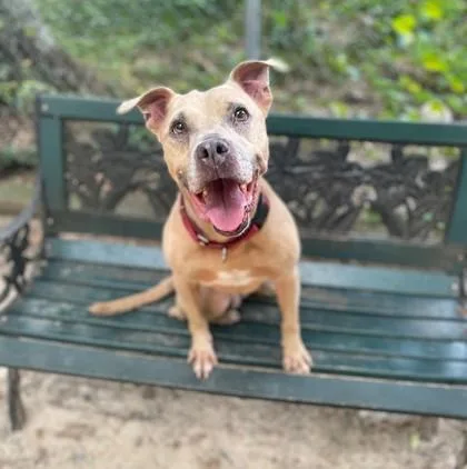 Lil Mama thumbnail 3