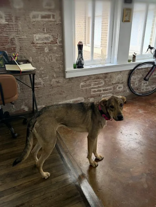 Luna : Ms. Perfect thumbnail 2