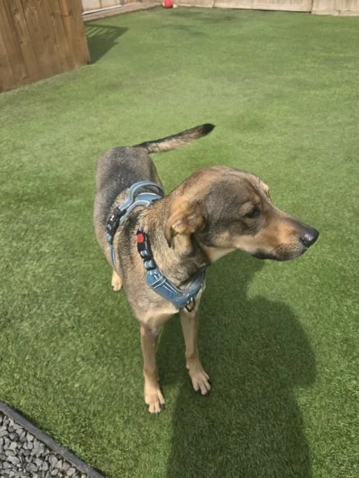 Luna : Ms. Perfect thumbnail 3