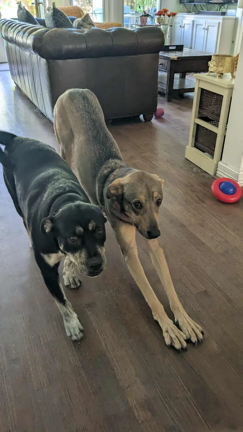 Luna : Ms. Perfect thumbnail 5