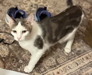 Charlotte thumbnail 3