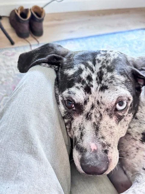 Maggie The Marvel thumbnail 2