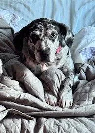 Maggie The Marvel thumbnail 3