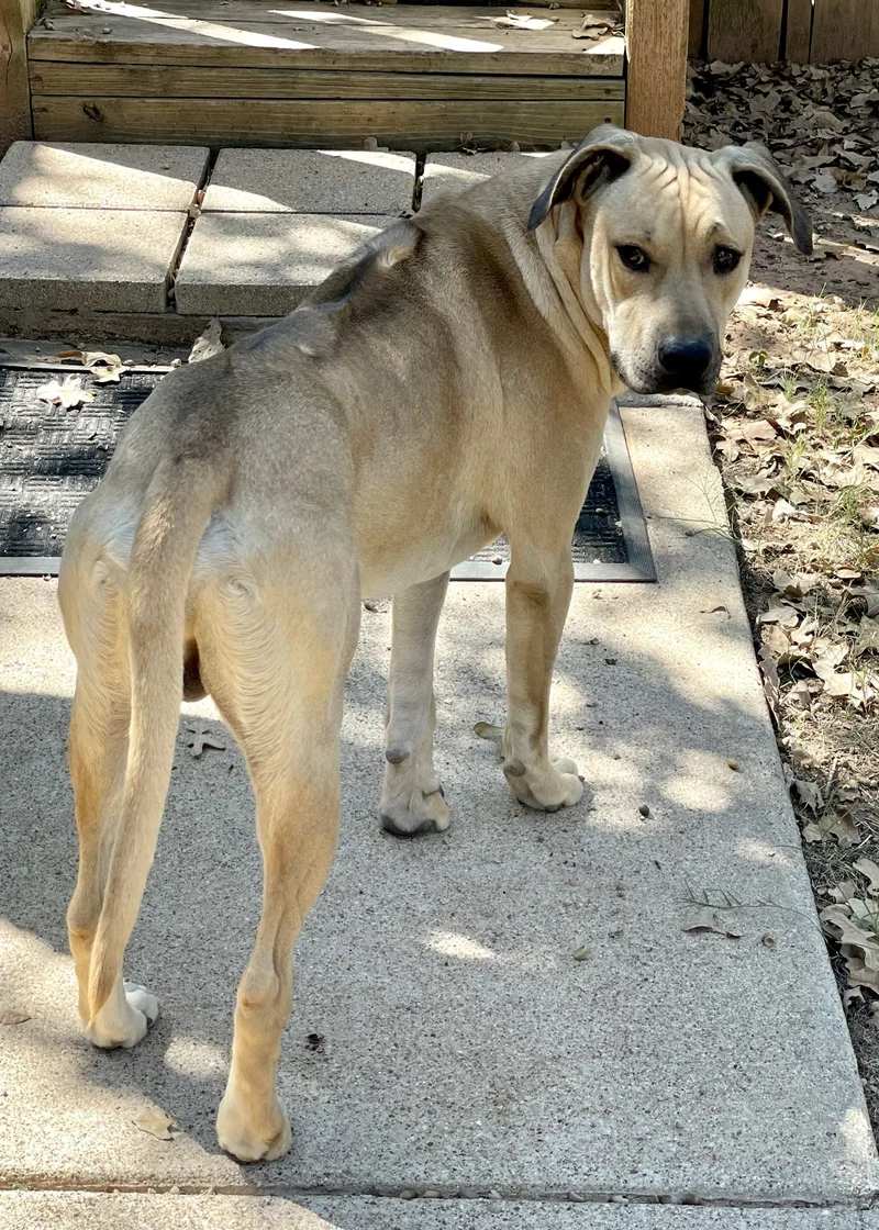 Jose Cuervo thumbnail 2