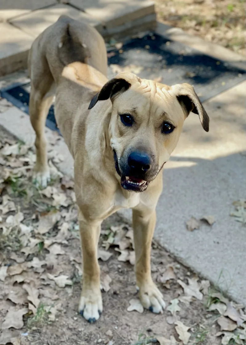 Jose Cuervo thumbnail 3