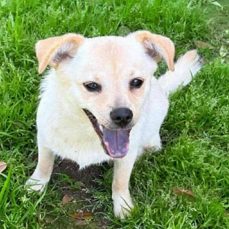 Frick And Frack thumbnail 2