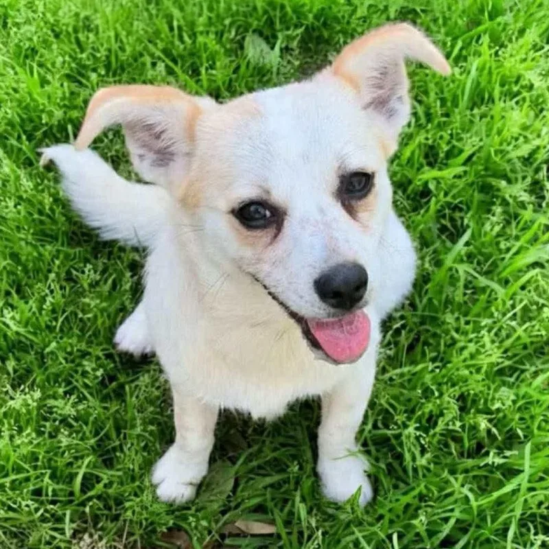 Frick And Frack thumbnail 5